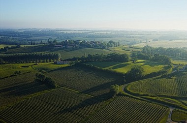 Biodiversité